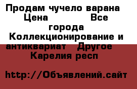 Продам чучело варана › Цена ­ 15 000 - Все города Коллекционирование и антиквариат » Другое   . Карелия респ.